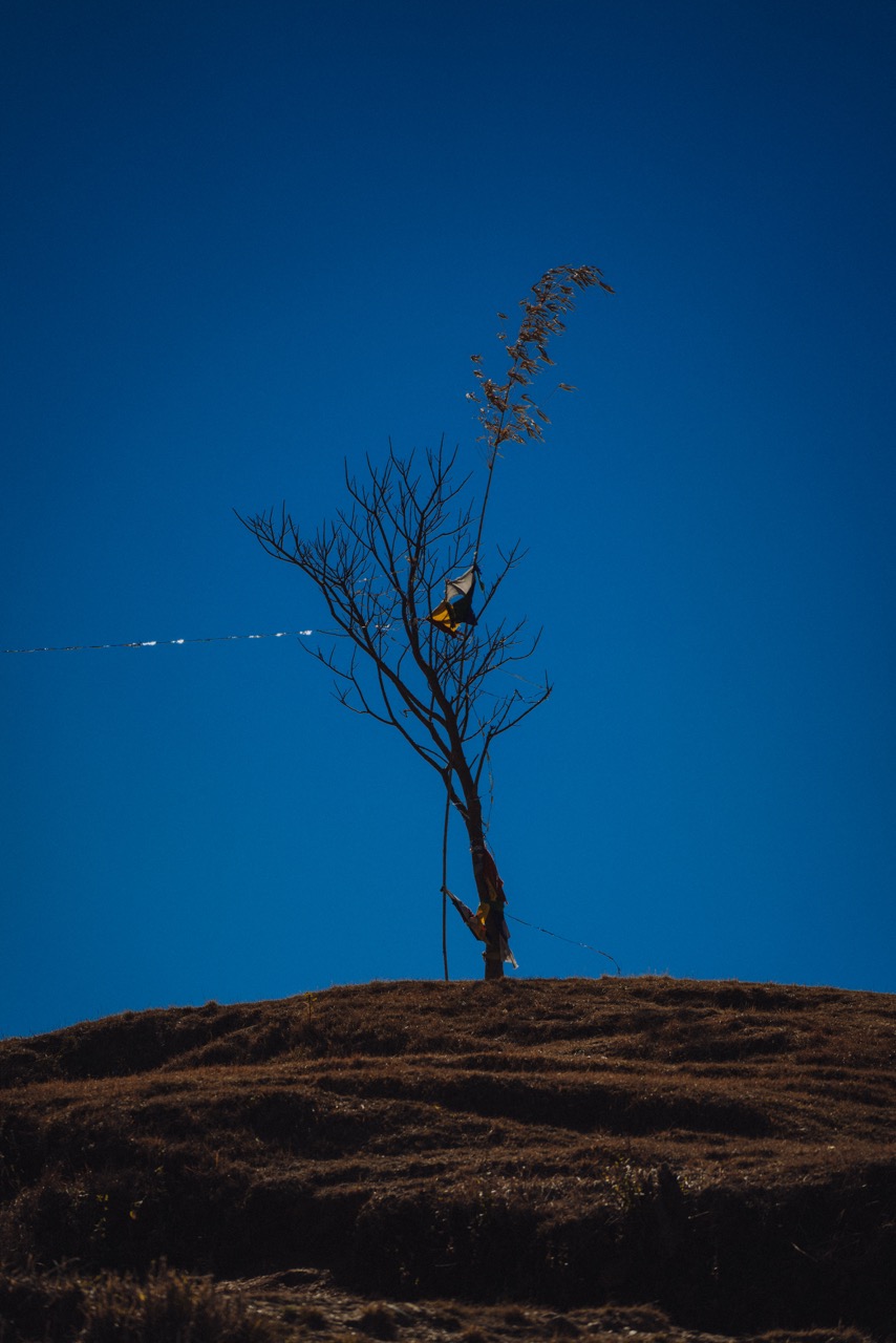 Abstract photo by guycontrast