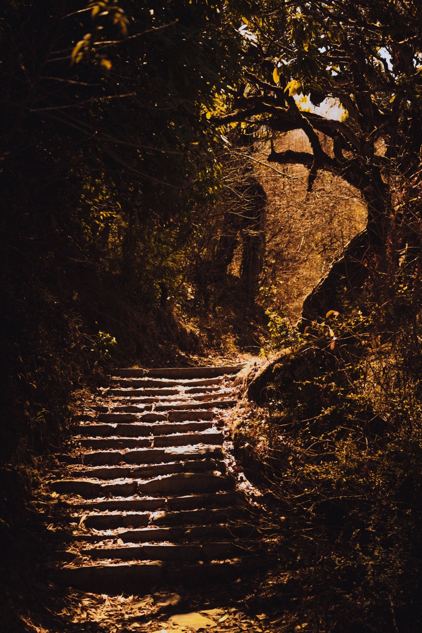 Abstract photo by guycontrast