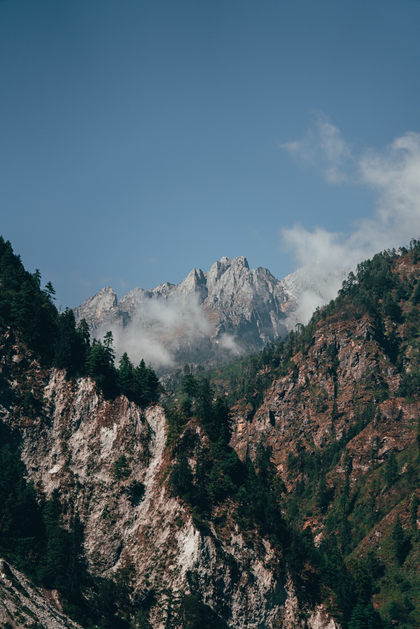 Nature photo by guycontrast