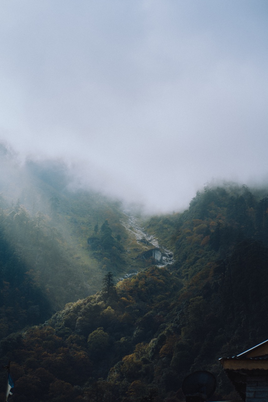 Nature photo by guycontrast