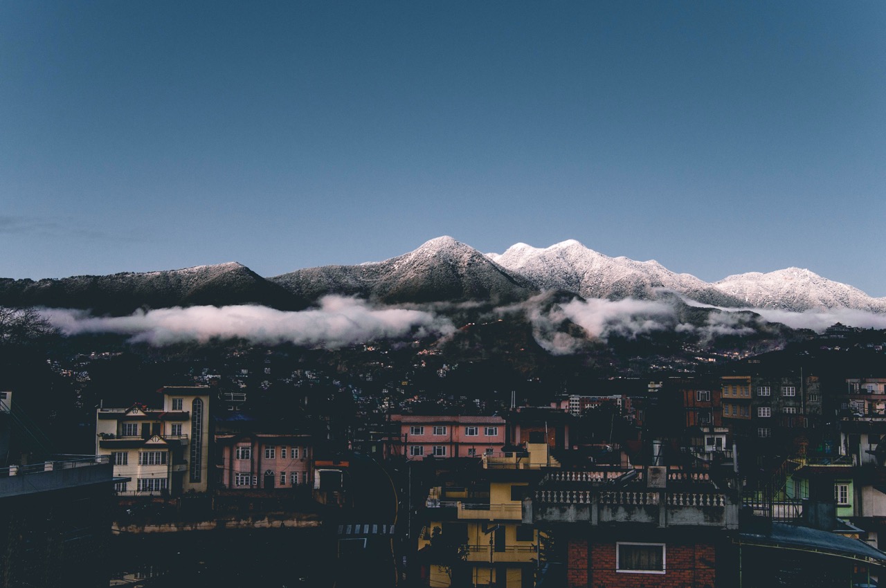 Nature photo by guycontrast