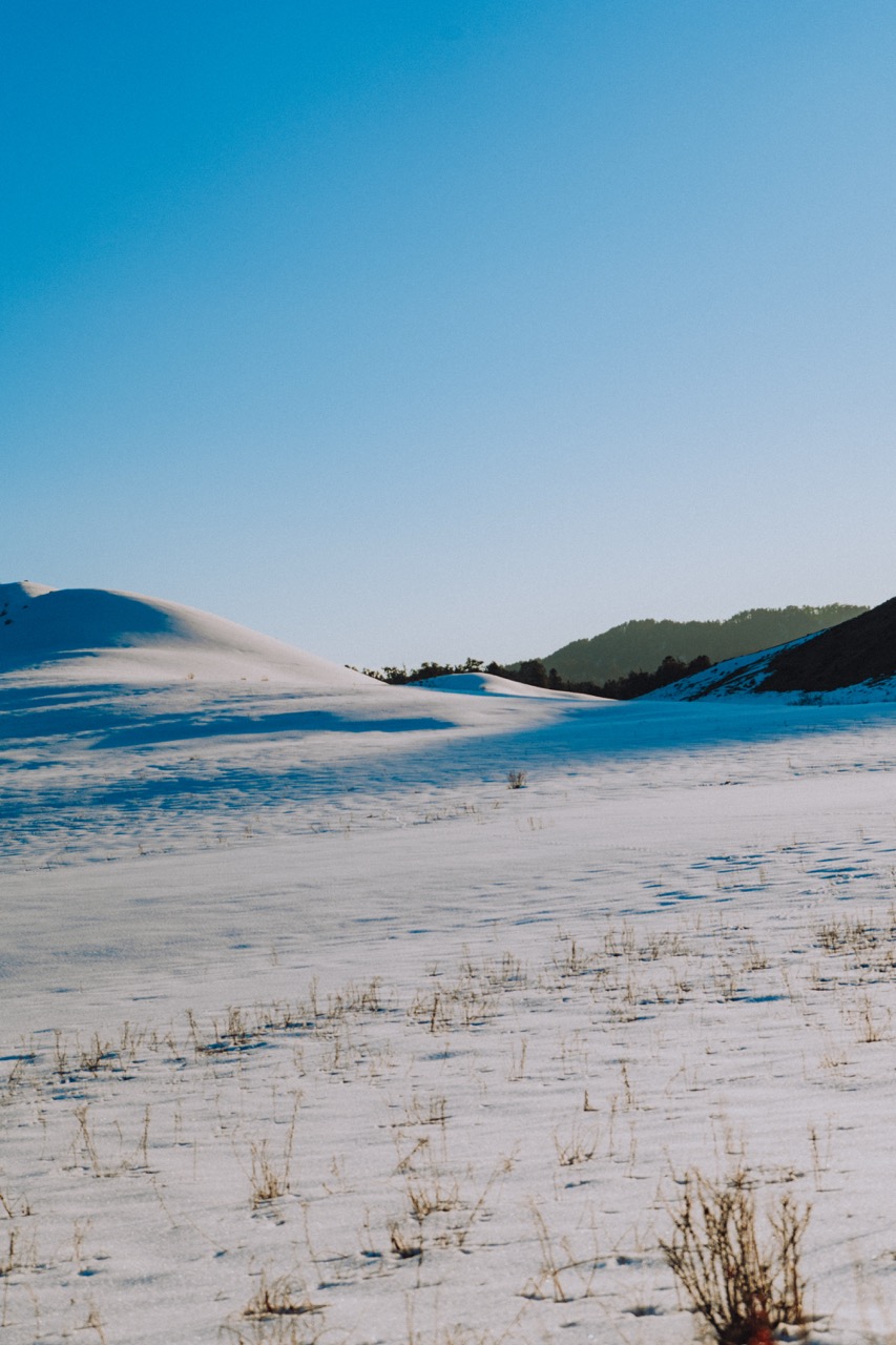 Nature photo by guycontrast