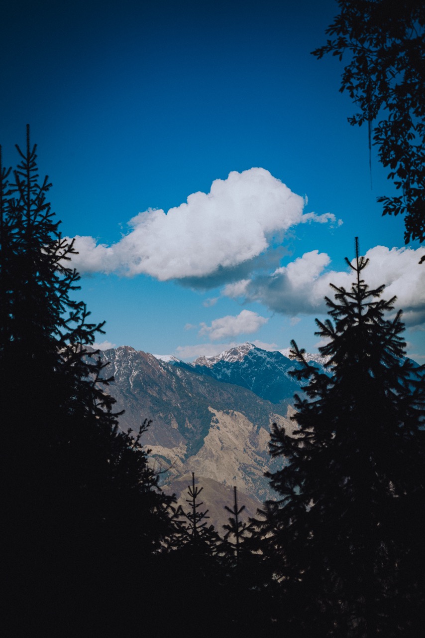 Nature photos
