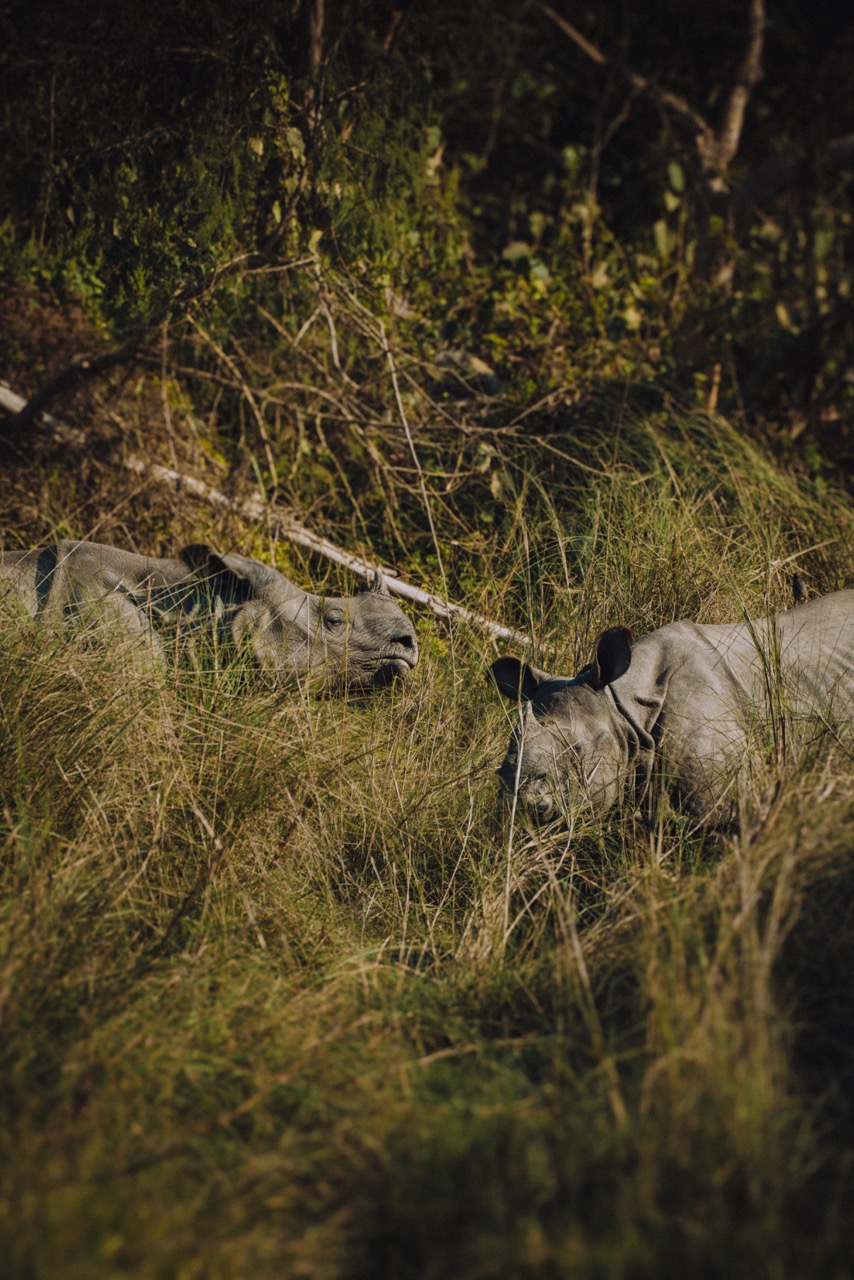 Wildlife photo by guycontrast